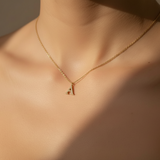 Collier initiale acier inoxydable et zircon